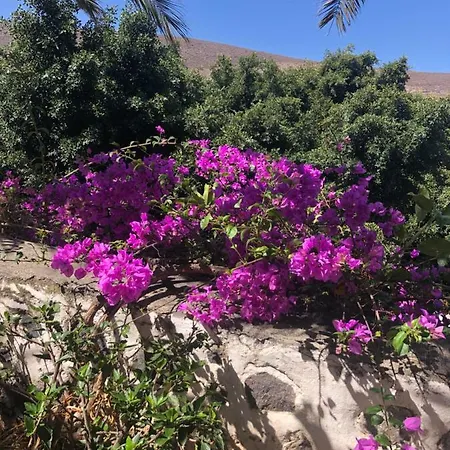 Los Tunos Campo Internacional Feriehus