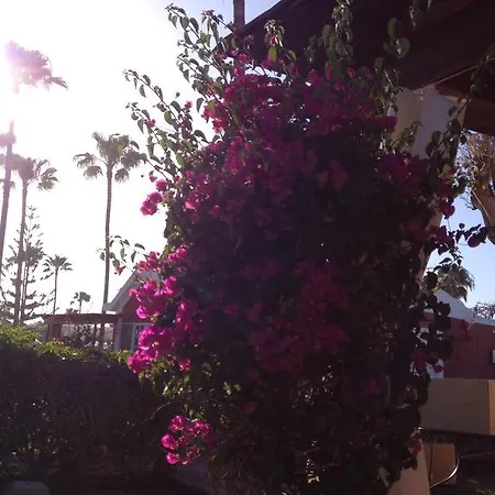 Los Tunos Campo Internacional Сasa de vacaciones