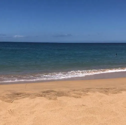 Hébergement de vacances Los Tunos Campo Internacional *